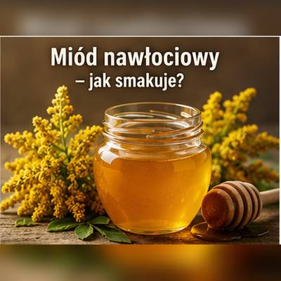 Miód nawłociowy – złocista barwa i ziołowo-kwiatowy charakter