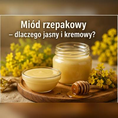 Miód rzepakowy – jasna barwa i kremowa konsystencja po krystalizacji