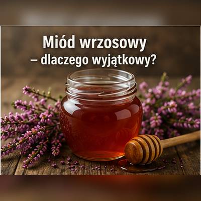 Miód wrzosowy – barwa, konsystencja i charakterystyczny profil